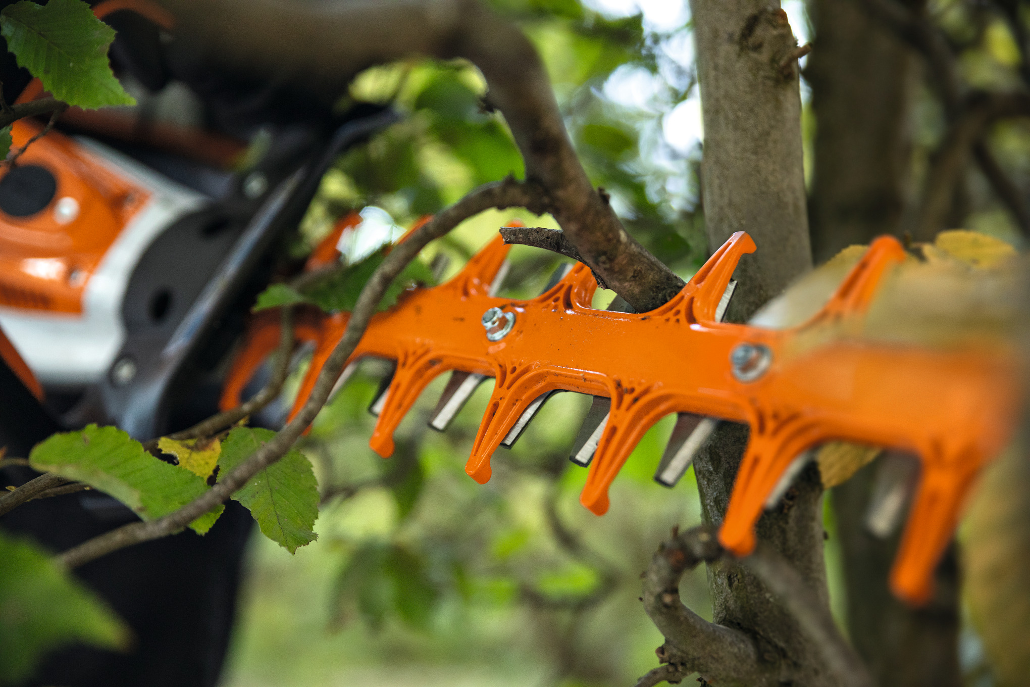 Nahaufnahme einer Stihl HSA 130 T Akku-Heckenschere beim Schneiden von Hecken