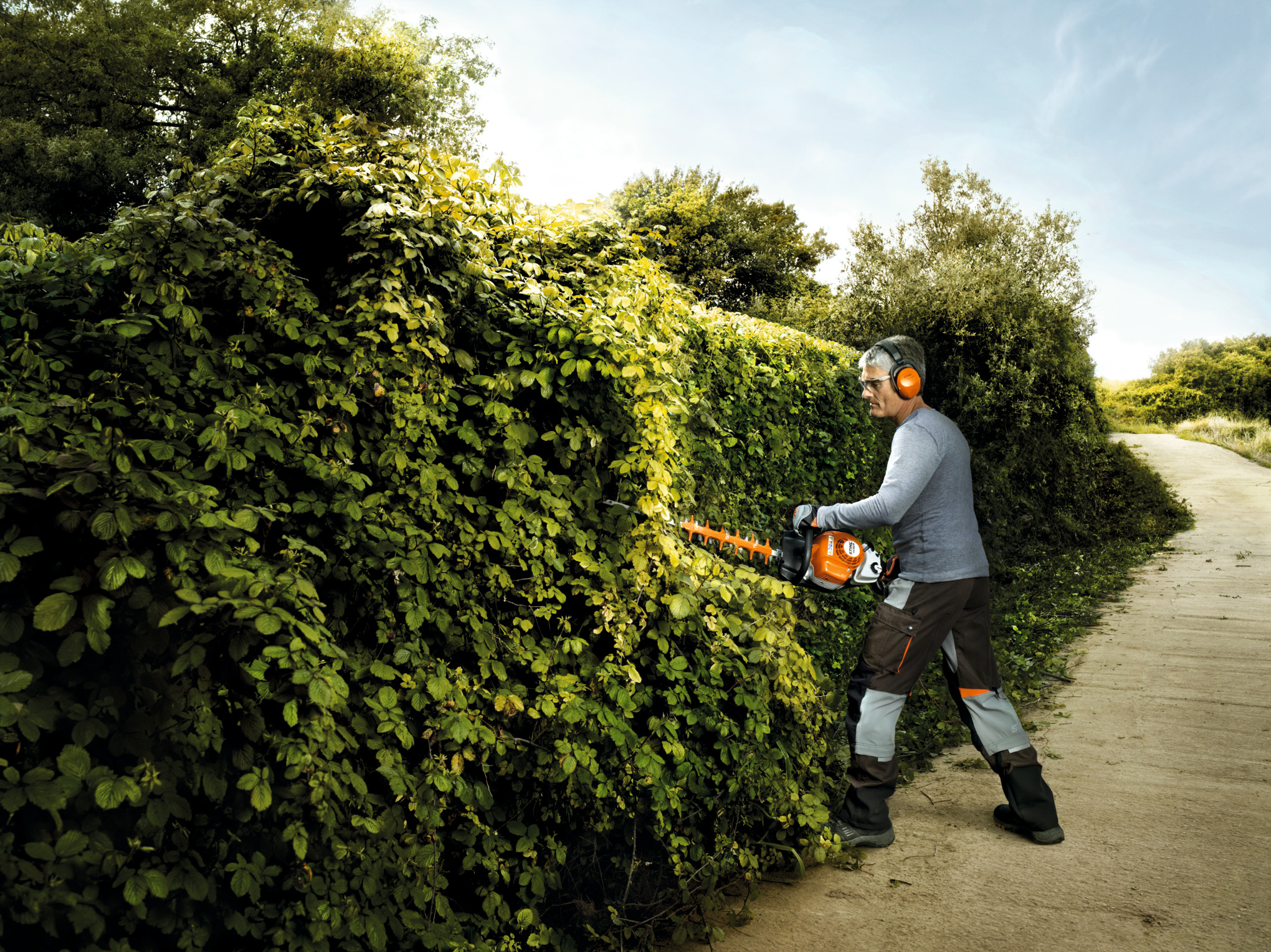 Professioneller Gärtner schneidet Hecke mit STIHL HS 82 R Heckenschere