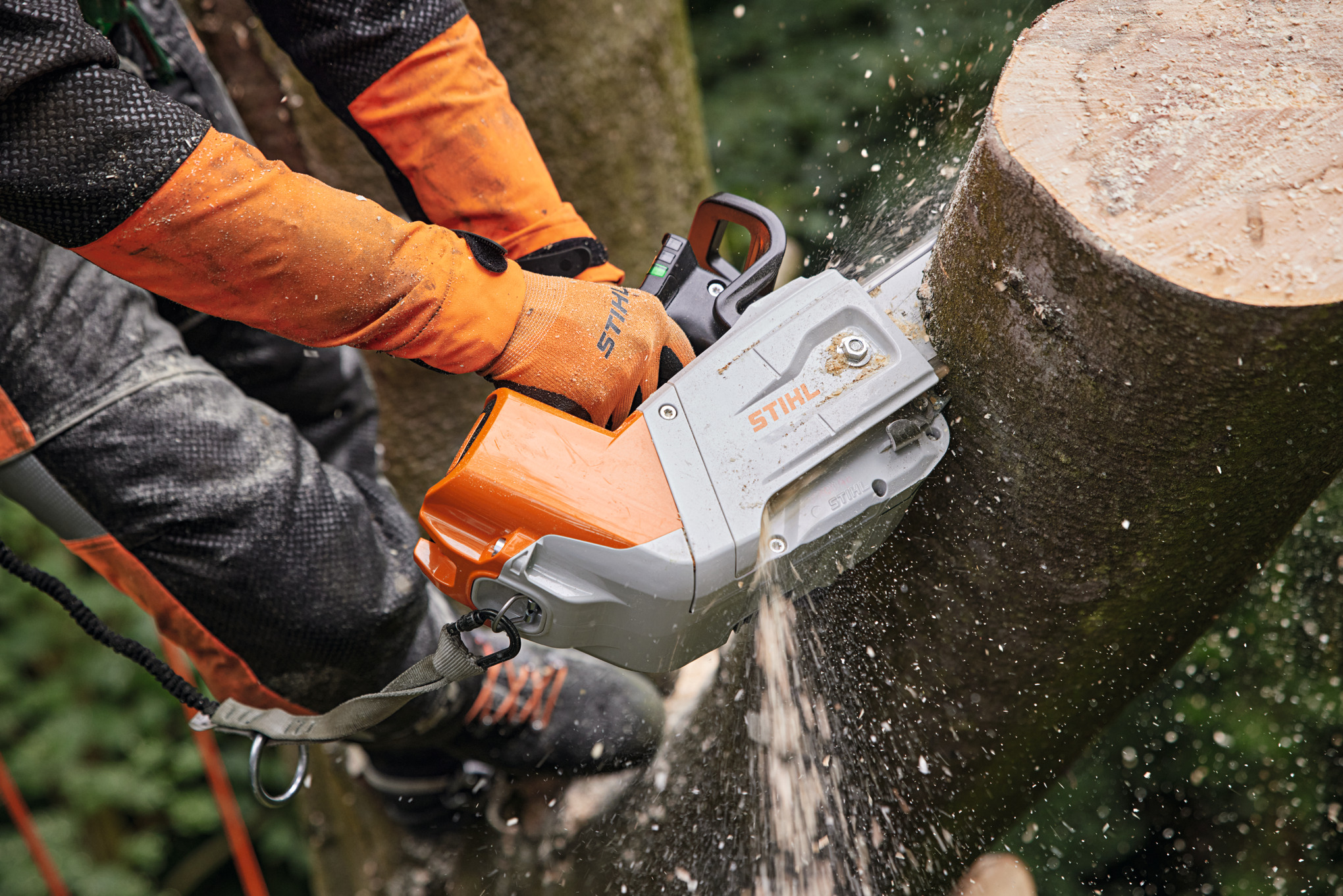 Professioneller Baumpfleger sägt Baumstamm mit STIHL MSA 220 TC-O Akku-Baumpflegesäge