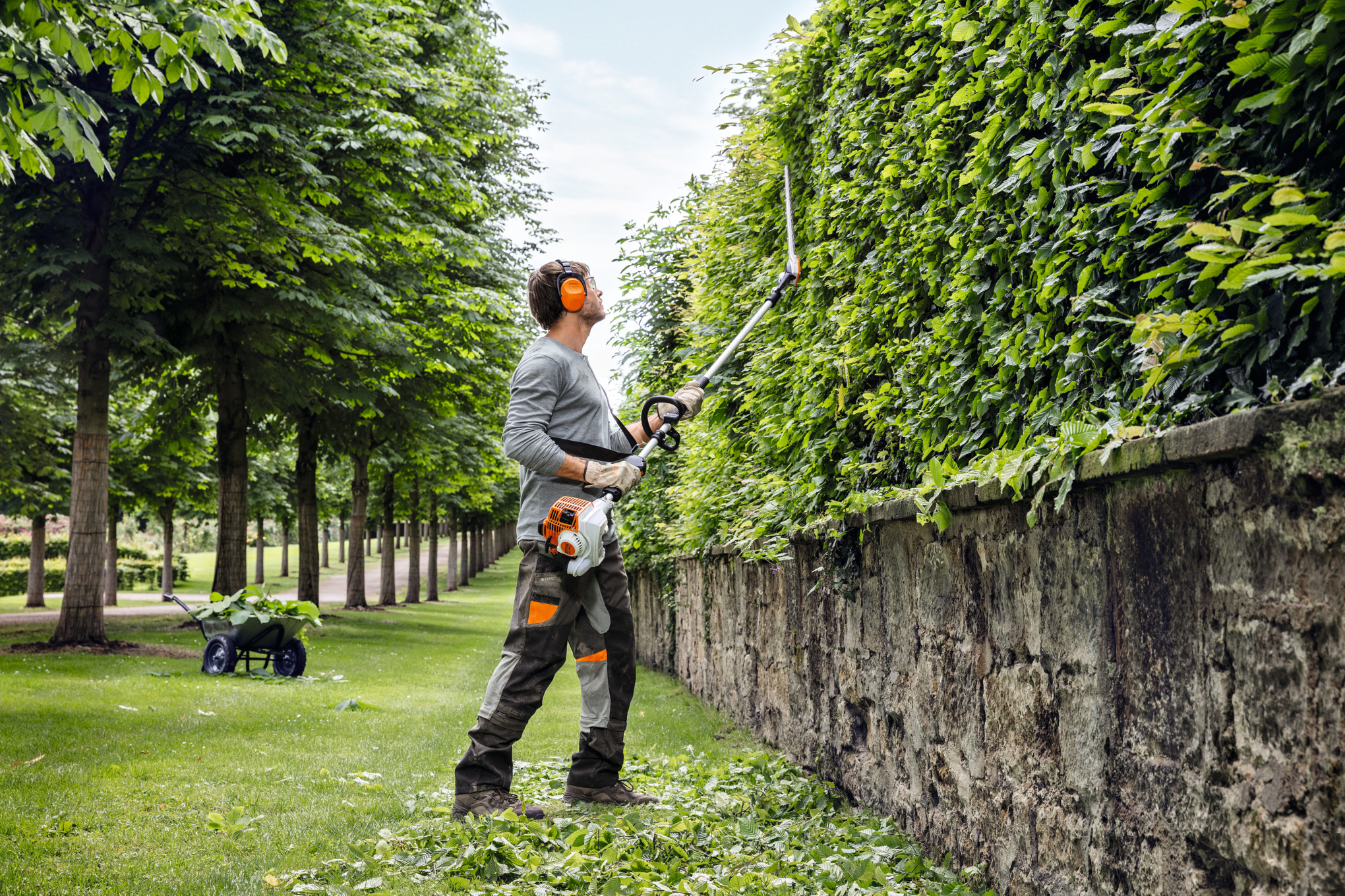 Professioneller Gärtner verwendet STIHL Heckenschneider in einem gepflegten Garten