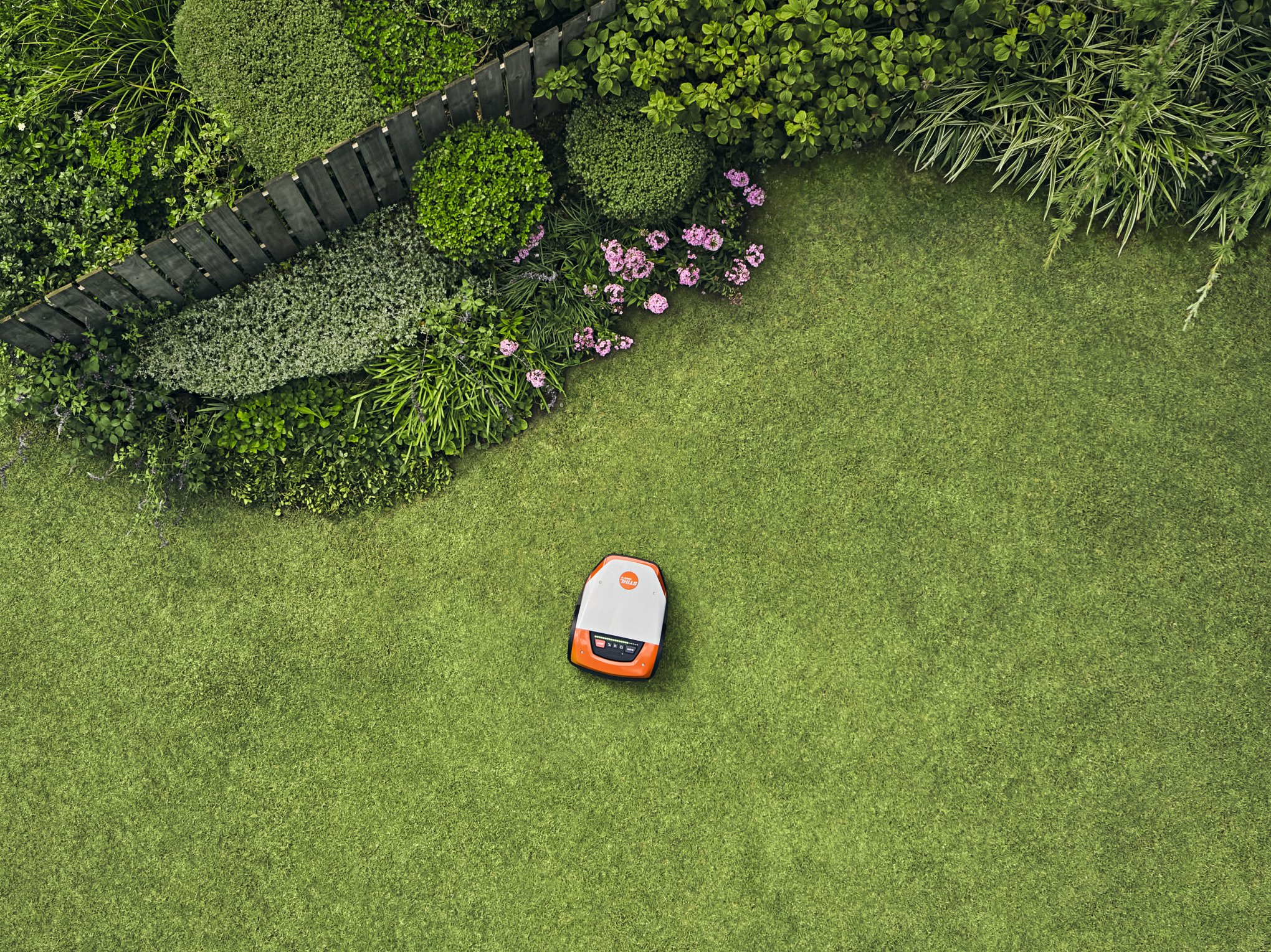 STIHL iMOW 6 Mähroboter mäht große Rasenfläche umgeben von üppigen Pflanzen