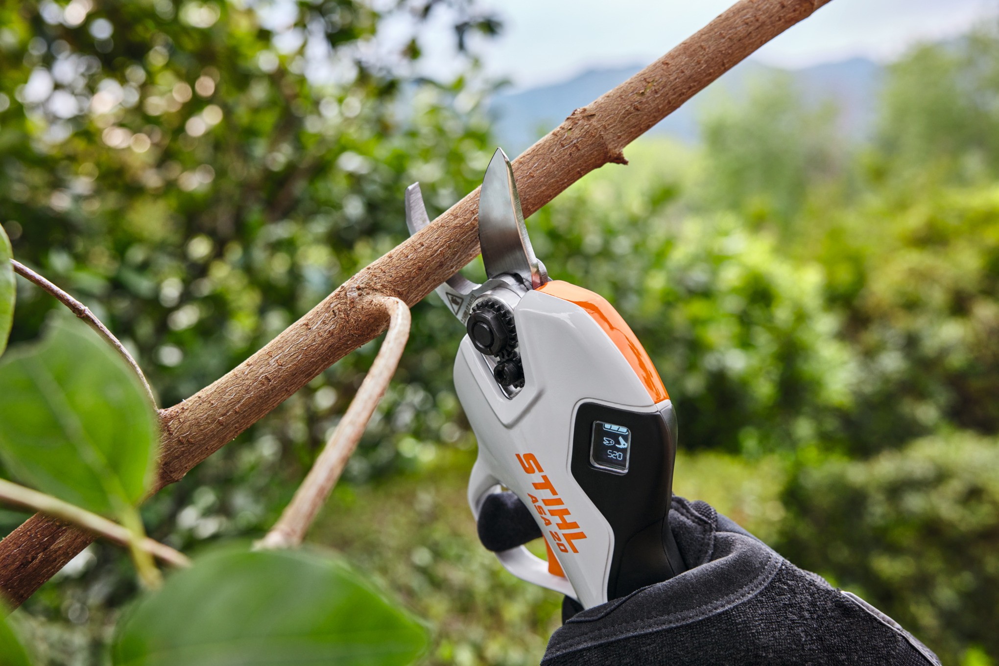Person verwendet STIHL ASA 20 Akku-Astschere zum Schneiden eines Astes in grüner Umgebung