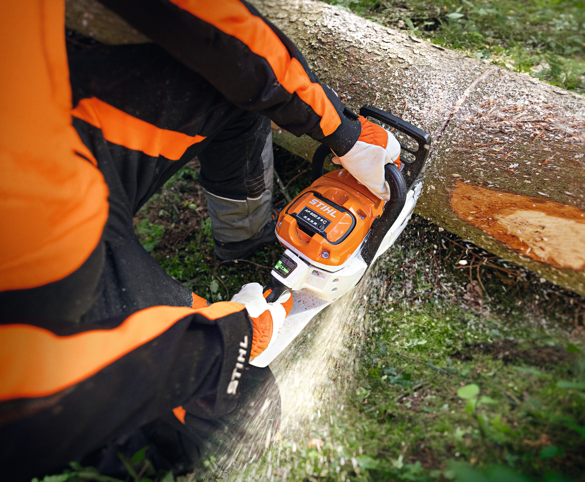 Person in Schutzkleidung schneidet Baumstamm mit STIHL MSA 300 Akku-Kettensäge